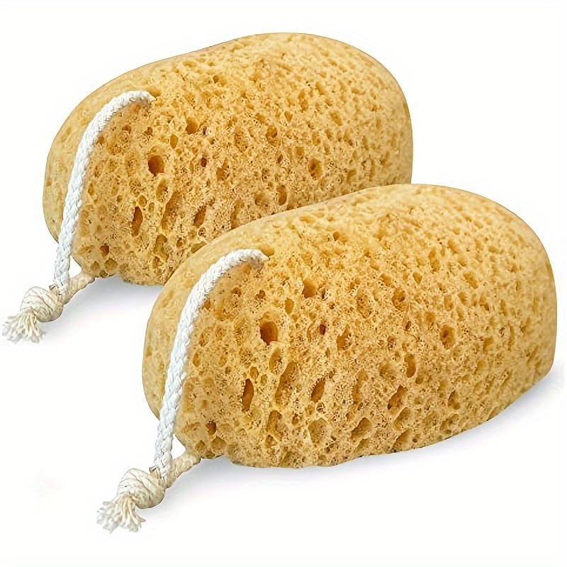 Bolha de banho de esponja de a - Seaweed Snack avaliação e preço